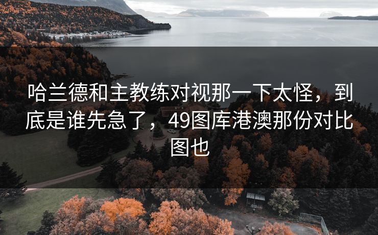 哈兰德和主教练对视那一下太怪，到底是谁先急了，49图库港澳那份对比图也